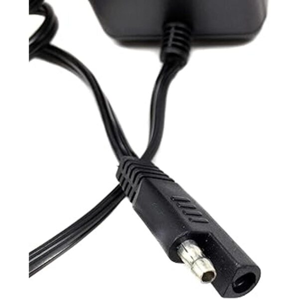 Cargador de batería inteligente automático_2