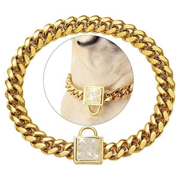 PRADOG Collar de cadena dorada para perro con hebilla de_1