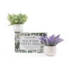 GreenCallow Paquete de 2 macetas de cerámica mini plantas_1