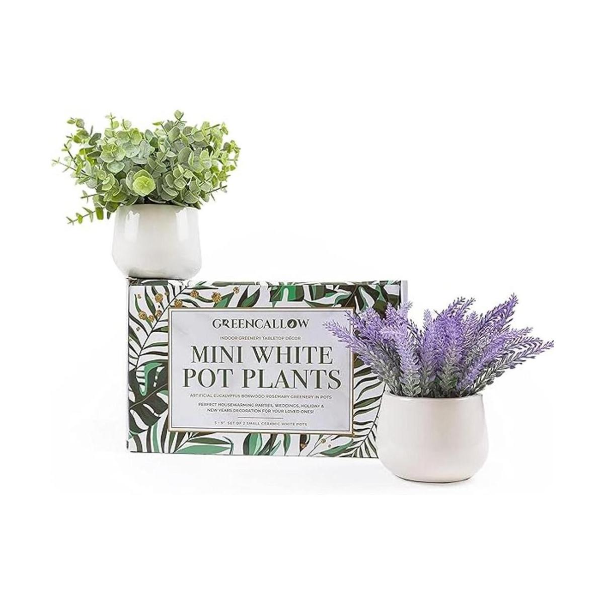 GreenCallow Paquete de 2 macetas de cerámica mini plantas