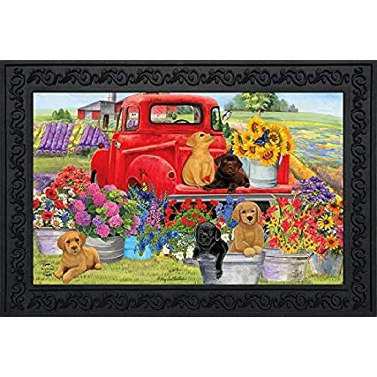 Tapete para perros de primavera para interiores y