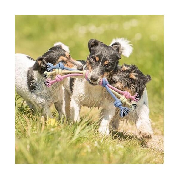 Juguetes de dentición para cachorros juguete de cuerda