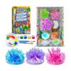 Kit de cultivo de cristal de Learn Climb para niños. Kit_1
