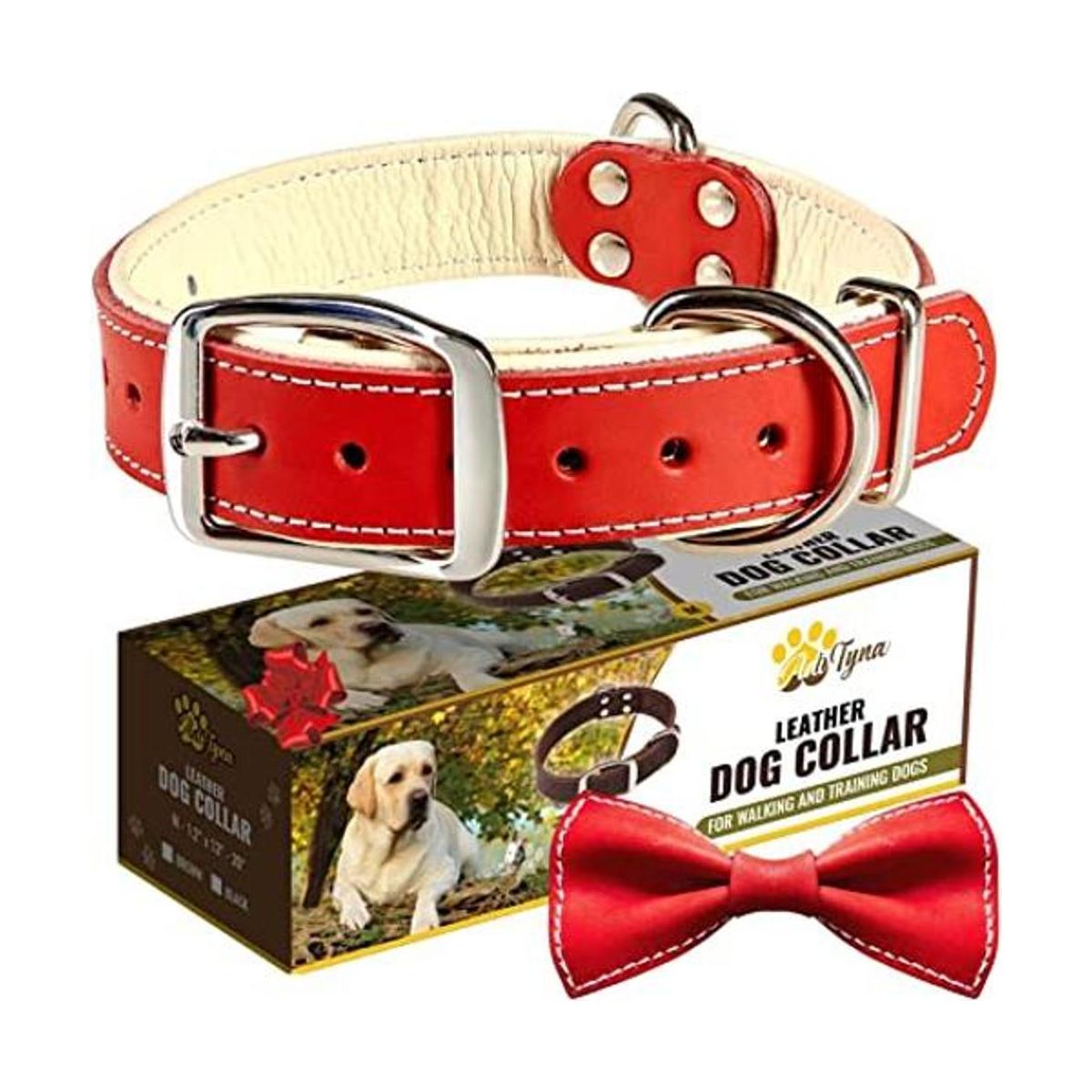 Collar de perro de cuero rojo acolchado Collar de perro