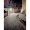 Nitelighter NLS650M Foco LED Proyector solar activado por_5