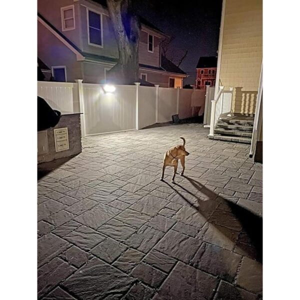 Nitelighter NLS650M Foco LED Proyector solar activado por_5
