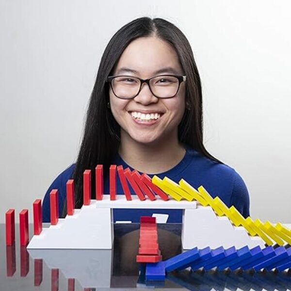 H5 Domino Creations by Lily Hevesh Juego familiar de 100_2