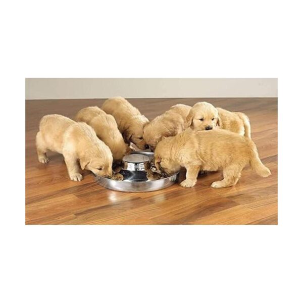 BobbyPet Comedero de platos para cachorros de acero_3
