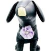 JpGdn 20 piezas pequeño collar de perro flor con diamantes