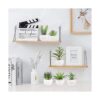 Greentime Juego de 6 plantas suculentas artificiales en