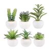 Greentime Juego de 6 plantas suculentas artificiales en