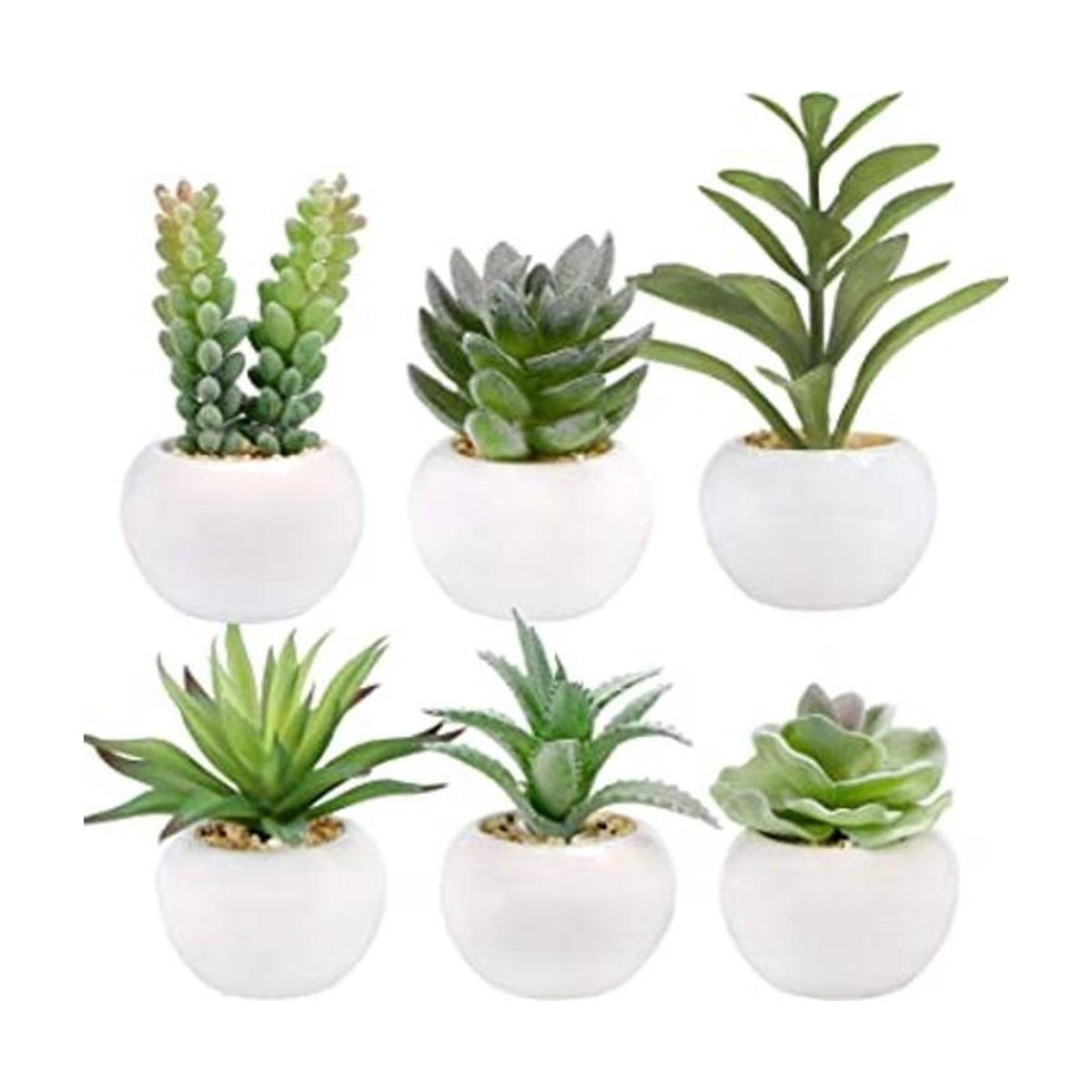Greentime Juego de 6 plantas suculentas artificiales en