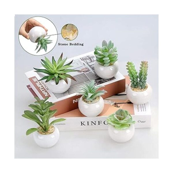 Greentime Juego de 6 plantas suculentas artificiales en