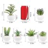 Greentime Juego de 6 plantas suculentas artificiales en