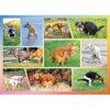 Pooping Dogs 1000 Piece Dog Puzzles for s Funny Gift Dog_1