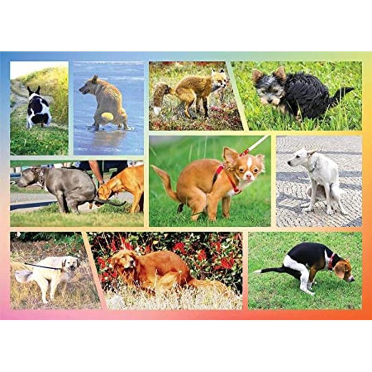 Pooping Dogs 1000 Piece Dog Puzzles for s Funny Gift Dog