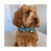 Huxley Kent Pajarita para mascotas diseño a cuadros