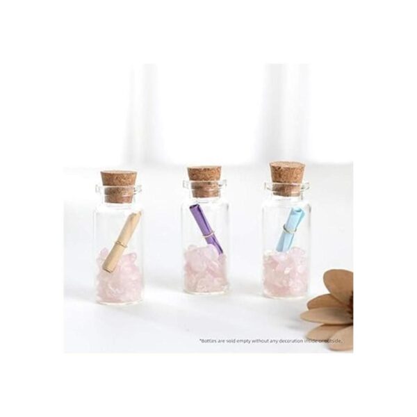 Magic Season Decorative Glass Bottles 24 Pcs wCork_3