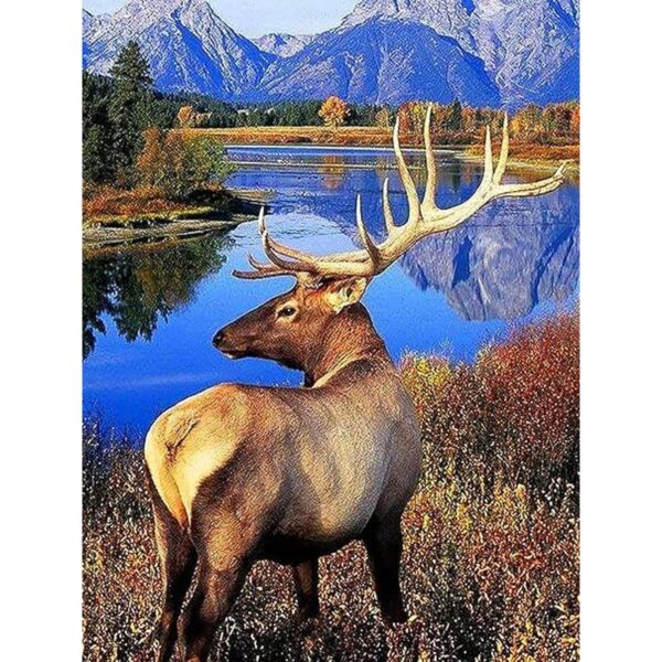 Pintura de diamantes 5D con diseño de alce de lago kit_1