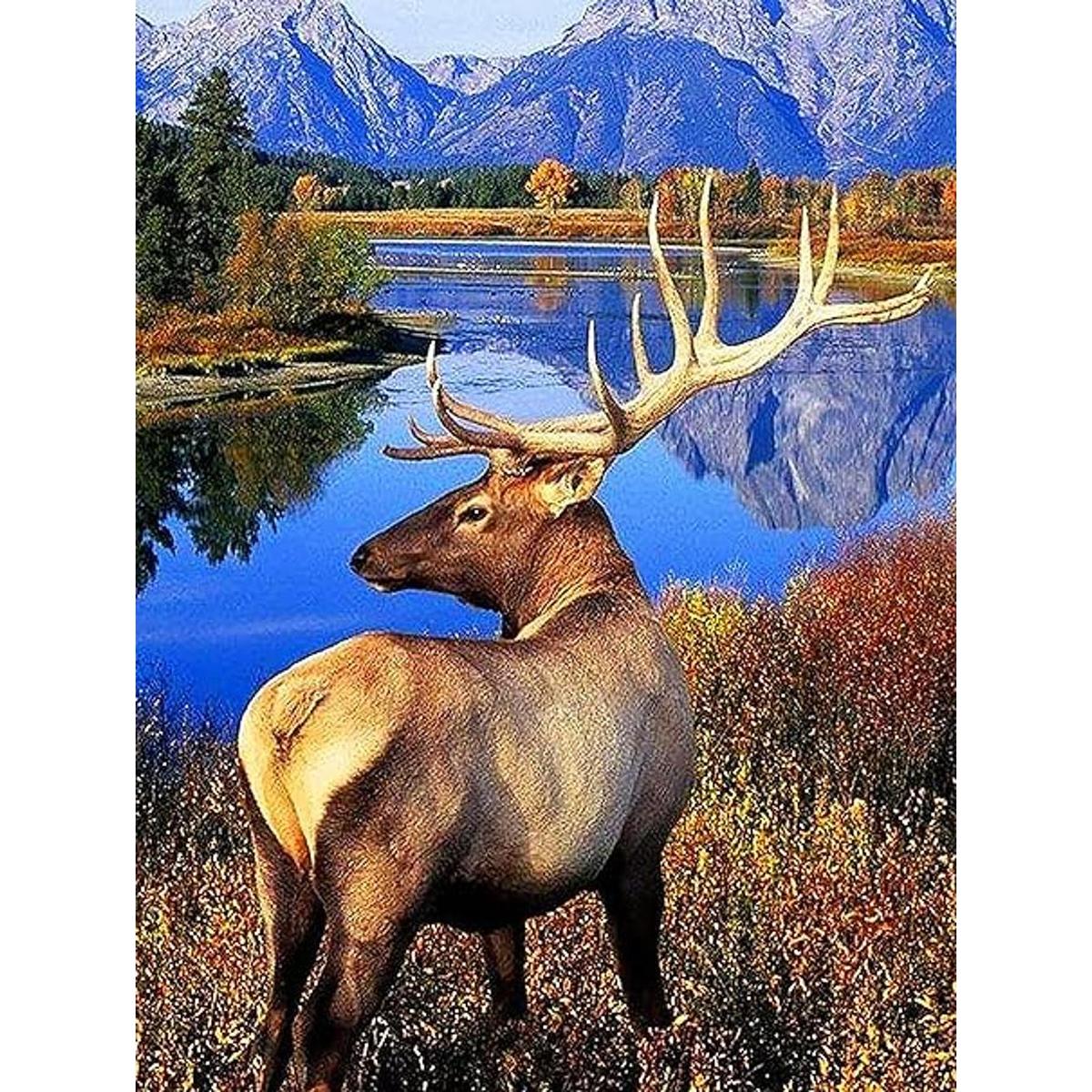 Pintura de diamantes 5D con diseño de alce de lago kit