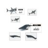 Juego de juguetes de animales marinos 12 figuras de mar_2