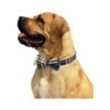 KUDES Paquete de 2 collares para perro con pajarita y