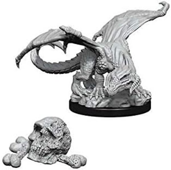 Nolzurs Marvelous Miniatures Wizkids DD Black Dragon_3