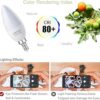 PAVOO Bombilla E12 equivalente a 60 W 6000 K 6 W 600_3