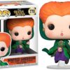 Funko Pop Disney Hocus Pocus Winifred Flying Multicolor_3