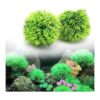 Besimple 4 piezas de plantas de acuario de plantas de_2