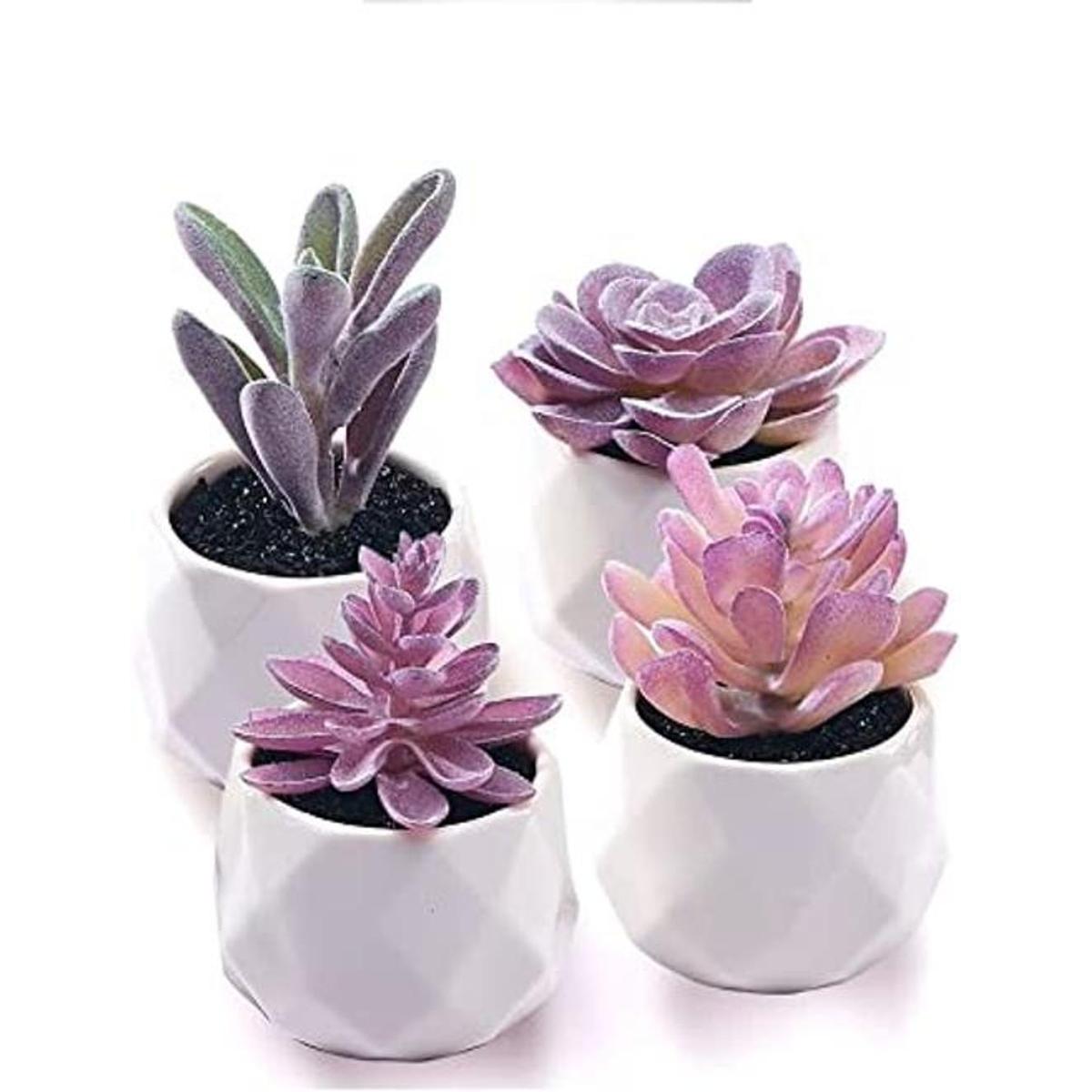CADNLY Juego de plantas suculentas falsas plantas