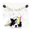 Cartel Happy Barkday para perros texto en inglés Happy_6