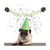 Cartel Happy Barkday para perros texto en inglés Happy_5