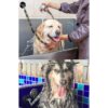 Correa de baño para perros con ventosa pesada correa de