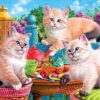 CraZArt Fancy Cats Rompecabezas de 750 piezas diseño de_3