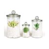Easeen Mini tarros de cristal para boticario
