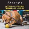 Friends TV Show City Doodle Correa para perro se fija al_2