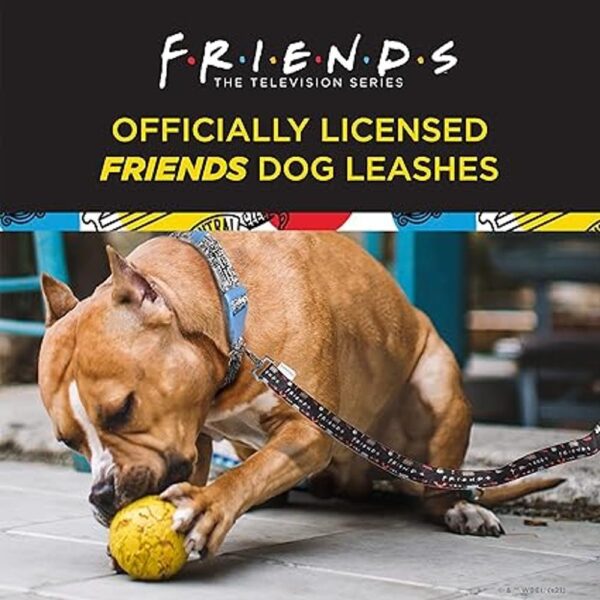 Friends TV Show City Doodle Correa para perro se fija al_2