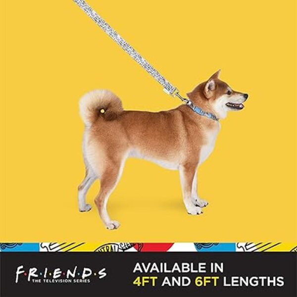 Friends TV Show City Doodle Correa para perro se fija al_5