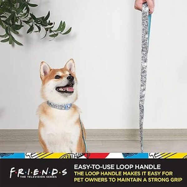 Friends TV Show City Doodle Correa para perro se fija al_3