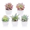 Funarty juego de 5 plantas suculentas artificiales en