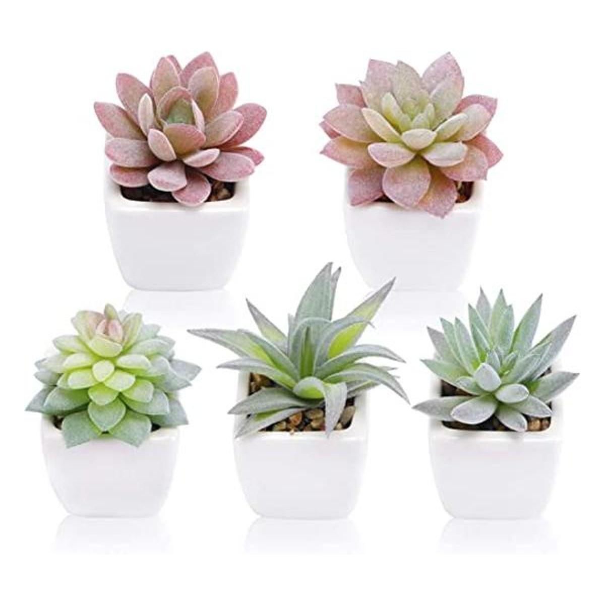 Funarty juego de 5 plantas suculentas artificiales en