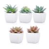 Funarty juego de 5 plantas suculentas artificiales en