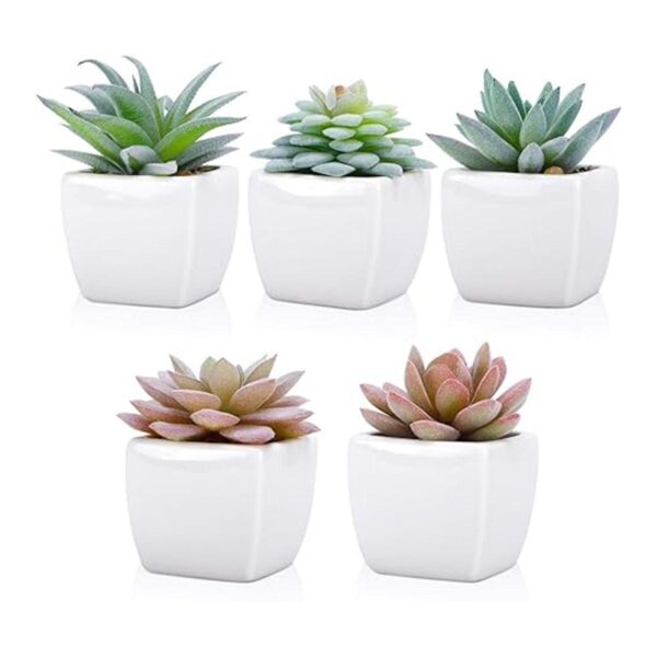 Funarty juego de 5 plantas suculentas artificiales en