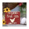 GSS Designs Farm Fresh Eggs Stencil 12.0 x 12.0 in Farm_3