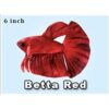 GreenPleco Peluche de Betta color rojo_1