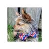 Huxley Kent Pajarita para mascotas Patas y rayas