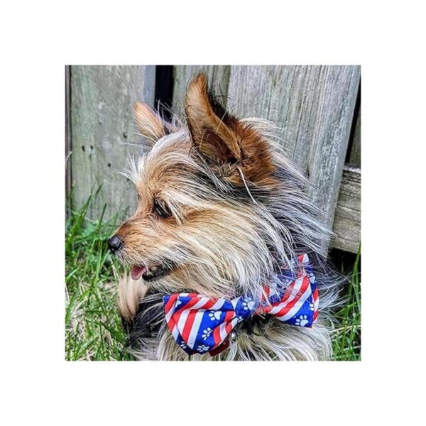 Huxley Kent Pajarita para mascotas Patas y rayas