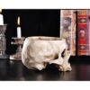 IBWell Moderno contenedor grande de 6 pulgadas con forma