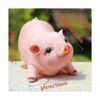 Estatua de gnomos de jardín de animales con bonito cerdo_3